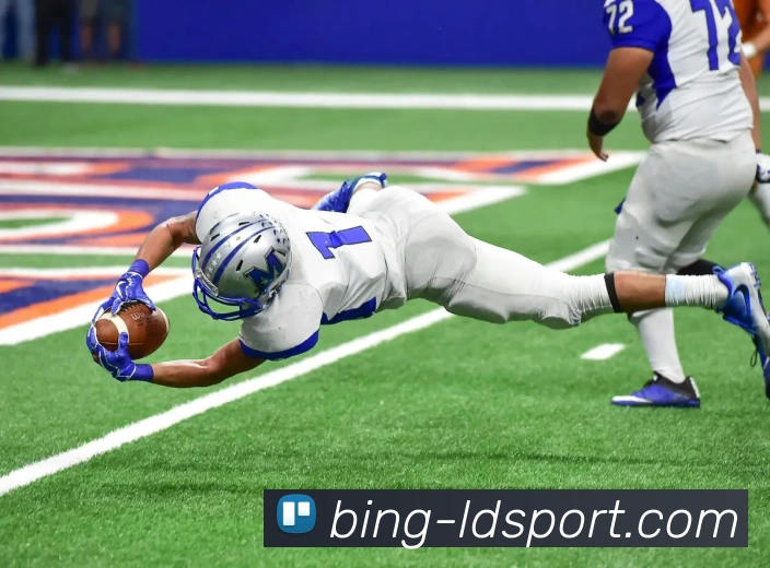 乐动体育APP 封面图