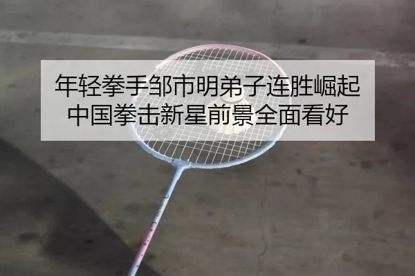 年轻拳手邹市明弟子连胜崛起 中国拳击新星前景全面看好 | LDSPORTS